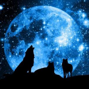 Vlčí úplněk (Rak)