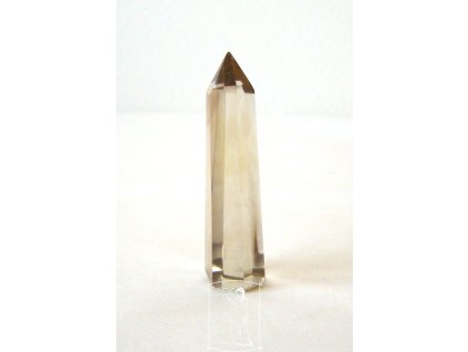 Špice - záhněda (6,5 cm) (P1219)
