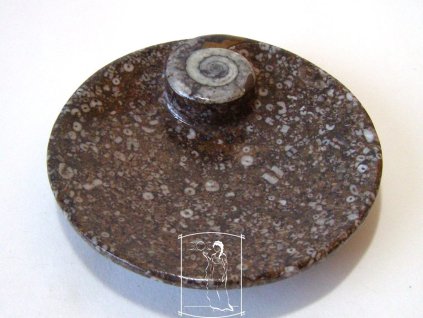 Miska - orthoceras a goniatit 1
