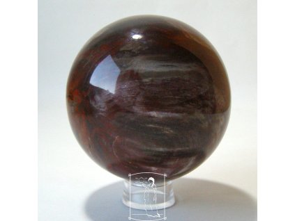 Zkamenělé dřevo - koule (8,5 cm) (P2809)