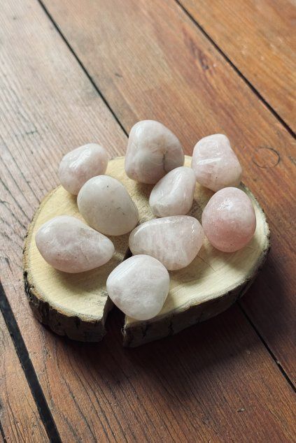 Růženín tromlovaný