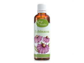 Echinacea tinktúra z bylín