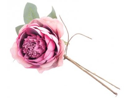 X Kvet MagicHome, ruža rozvitá, tmavoružová, stonka, veľkosť kvetu: 11 cm, dĺžka kvetu: 22 cm, .  + praktický pomocník k objednávke