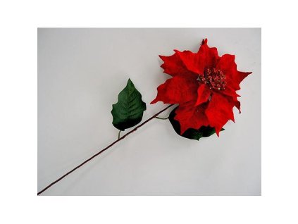 Kvet MagicHome Vianoce Poinsettia, červená, stonka, 23x75 cm, bal. 12 ks  + praktický pomocník k objednávke