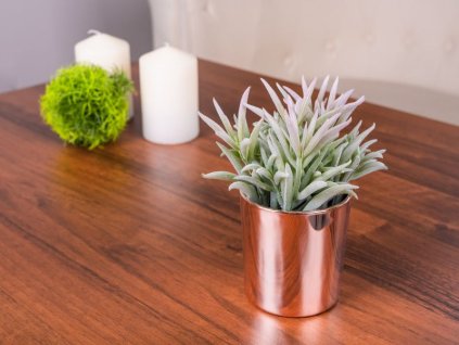 Sukulent MagicHome S31274, 16 cm, črepník- keramika, zlatý, umelý  + praktický pomocník k objednávke