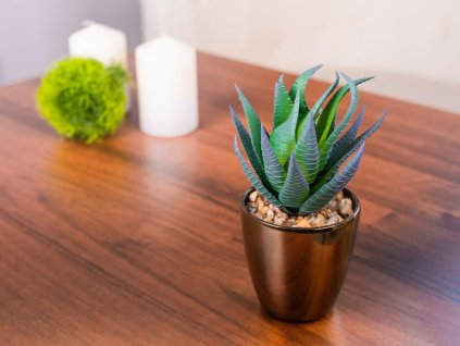 Sukulent MagicHome S15643, 17 cm, kvetináč - plast, zlatý, umelý  + praktický pomocník k objednávke