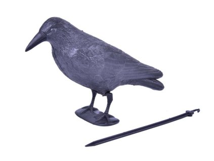 Plašič vtákov Havran čierny, 38 cm + praktický pomocník k objednávke