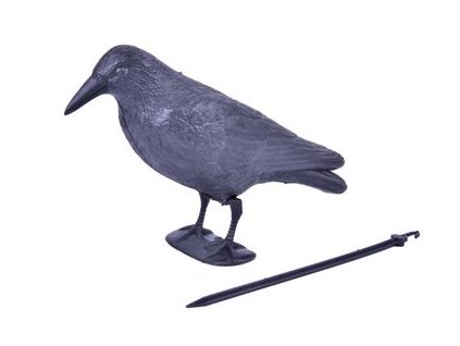 Plašič vtákov Havran čierny, 38 cm  + praktický pomocník k objednávke