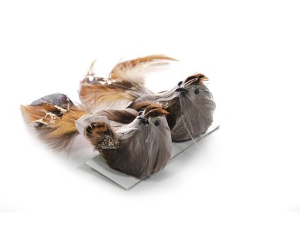 Vtáčatká so štipcom MagicHome, hnedé, pár, 15x5x5 cm  + praktický pomocník k objednávke