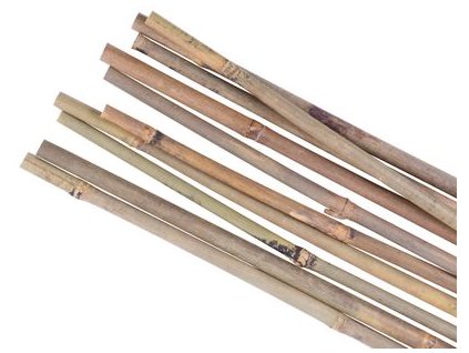 Tyč Garden KBT 1800/12-14 mm, bal. 10 ks, bambus, oporná k rastlinám  + praktický pomocník k objednávke