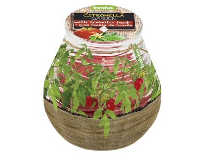 Sviečka bolsius Teracce Citronella, repelentná, 94/91 mm, paradajka  + praktický pomocník k objednávke