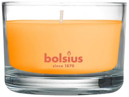 Sviečka Bolsius Jar True Scents 50/80 mm, vonná, mango, v skle  + praktický pomocník k objednávke