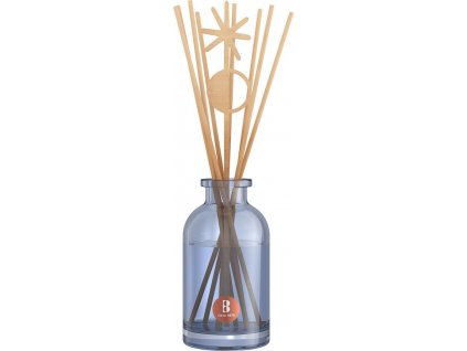 Difúzer Bolsius True Joy Secret Forest, vôňa dreva, 80 ml  + praktický pomocník k objednávke