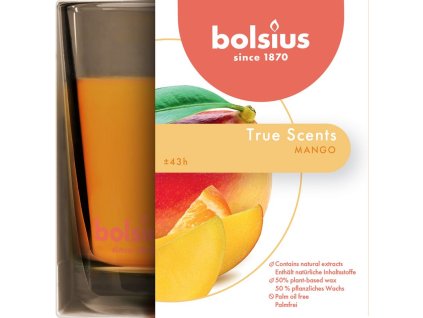Sviečka Bolsius Jar True Scents 95/95 mm, vonná, mango, v skle  + praktický pomocník k objednávke