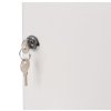 Schránka KeyBox 214, na kľúče, 25x18x7.4 cm, uzamykacia, 48 háčikov  + praktický pomocník k objednávke