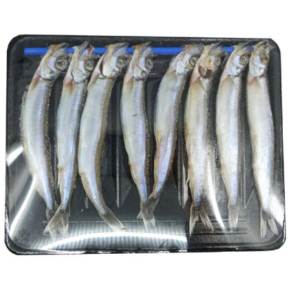 2589 shishamo ichiaboshi 8pc