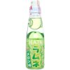 2661 hatakosen ramune melon 200ml