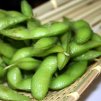 1280px Edamame by Zesmerelda in Chicago