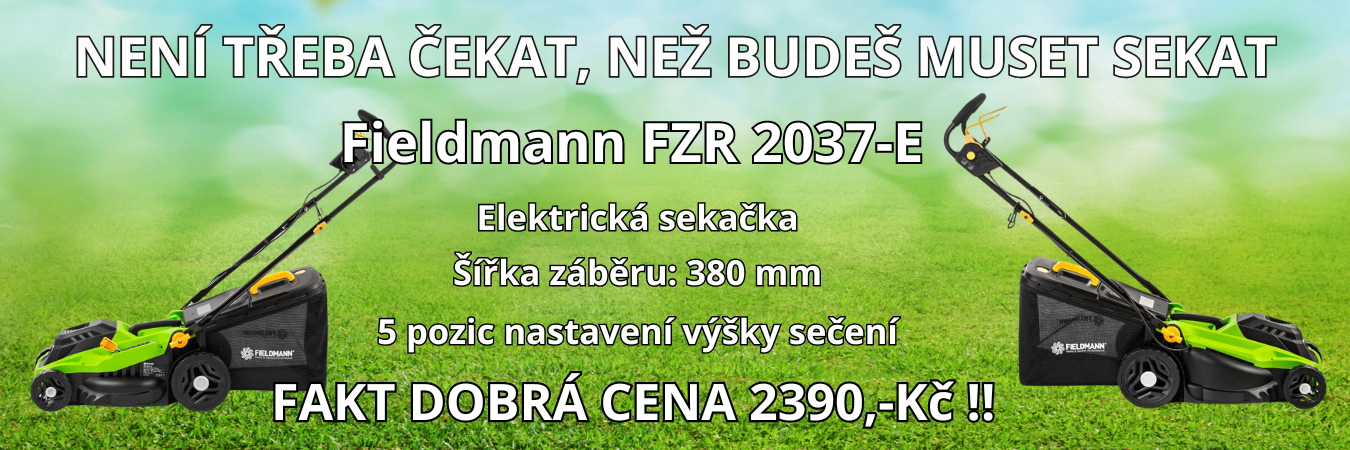 Fieldmann FZR 2037-E