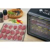Sencor SFD 6600BK – výkonná sušička ovoce a potravin