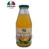 Ovocná šťava pomaranč, zázvor bio 500ml - Bio