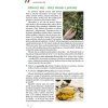 Kniha Taliansko a láska 3 - gastronómia