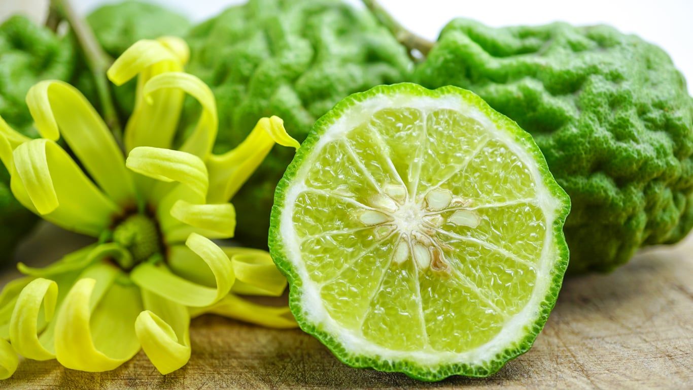 Bohovský Bergamot