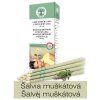 Ušná Šalvia muškátová