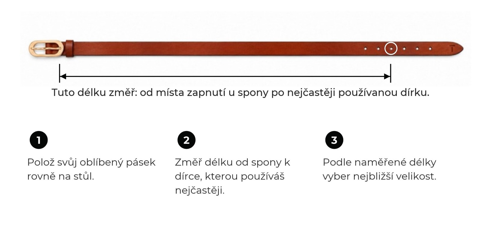 VELIKOST A ZKRÁCENÍ