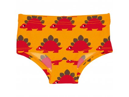 Briefs Hipsters CLASSIC DINO
