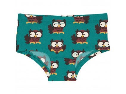 Briefs Hipsters OWL