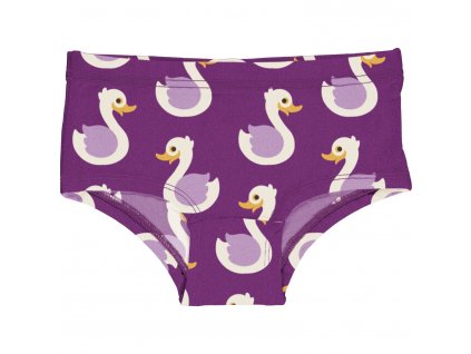 Briefs Hipsters SWAN