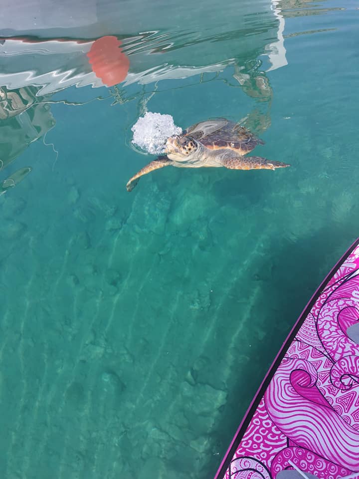 plachtění po Řecku