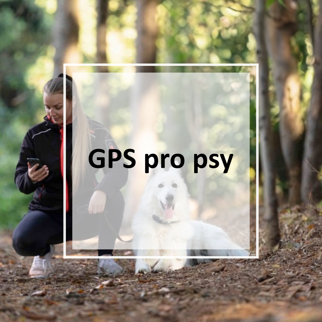 GPS pro psy. Vychytávka, s kterou se konečně přestanete bát o bezpečí svého mazlíka