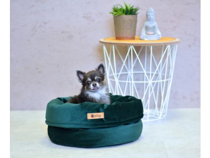 DOG BED "BASKET" ROYAL / GREEN