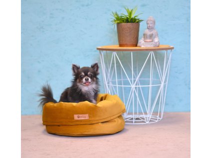 DOG BED "BASKET" ROYAL / GOLD