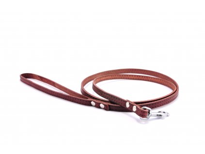 Leather leash STUBBY CLASSIC | brown