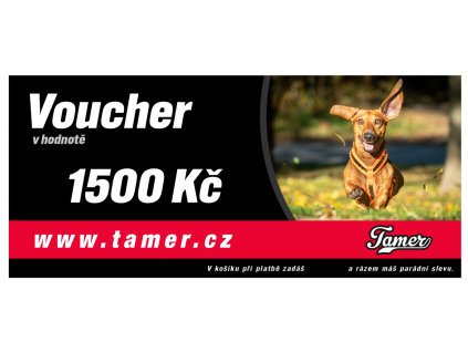 Gift voucher for 1500,-