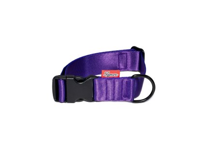 Strap collar SIMPLE | purple