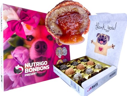 LK Baits Pet NUTRIGO BONBONS Present - Sváteční bonboniéra pro psy
