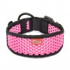 Perforated collar SOFTY | black/pink