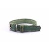 Leather collar STUBBY | green