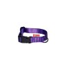 Strap collar SIMPLE | purple