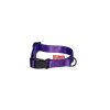 Strap collar SIMPLE | purple
