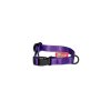 Strap collar SIMPLE | purple