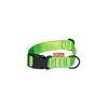 Strap collar SIMPLE | green