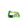 Strap collar SIMPLE | green