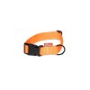Strap collar SIMPLE | orange