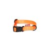 Strap collar SIMPLE | orange