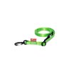 Strap leash VARIO | green